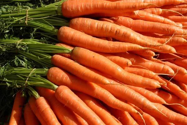 carrot1 - Pic Riddle 1199 (Solved By Hijab)