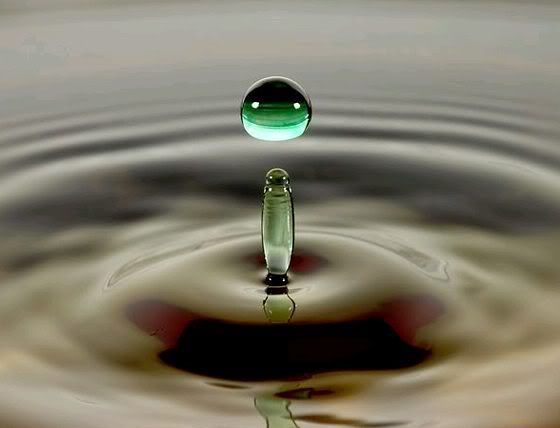 irene mueller amazing water drops - ~! Picture Of The Day 30 Oct 08 !~