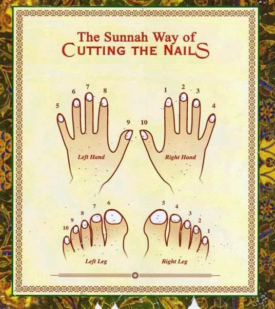 nakhunkatneykisunnatdg9 - The Sunnah Way Of Cutting Nails