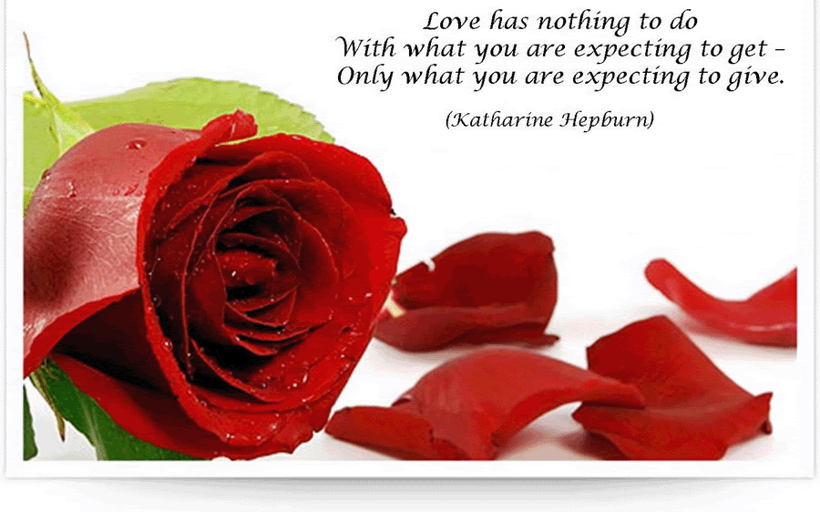 love - ~*quote of the day 14 June 09*~