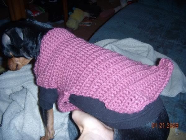 Bonnie's new sweater