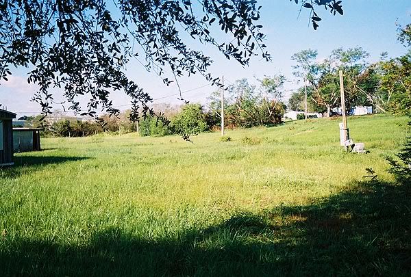 backyard 2005