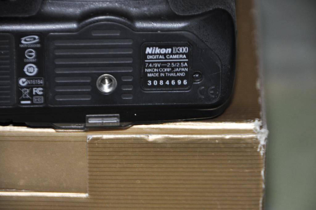 NIKON D300, 18-55mm f/3.5-5.6G, 8GB - 4