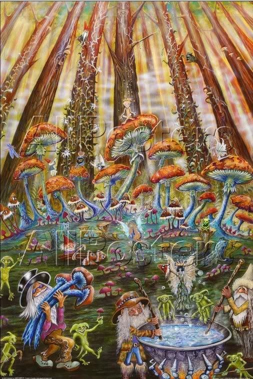 mushroom,fairies,psychedelic,forest,LSD