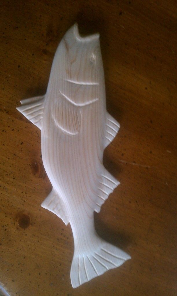 IMAG0489.jpg
