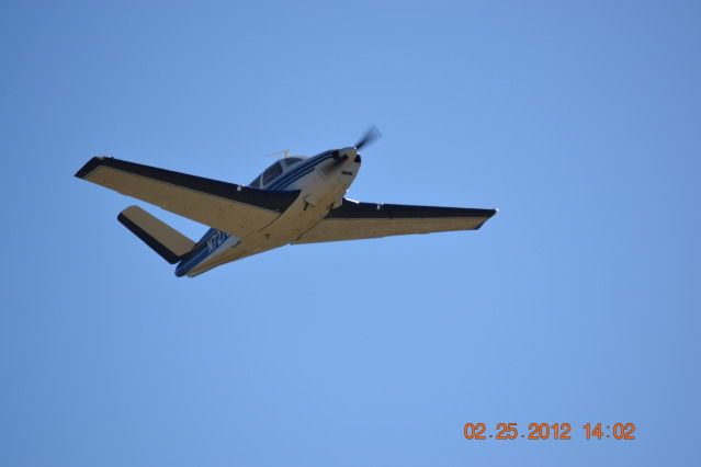 DSC_0139-Copy.jpg