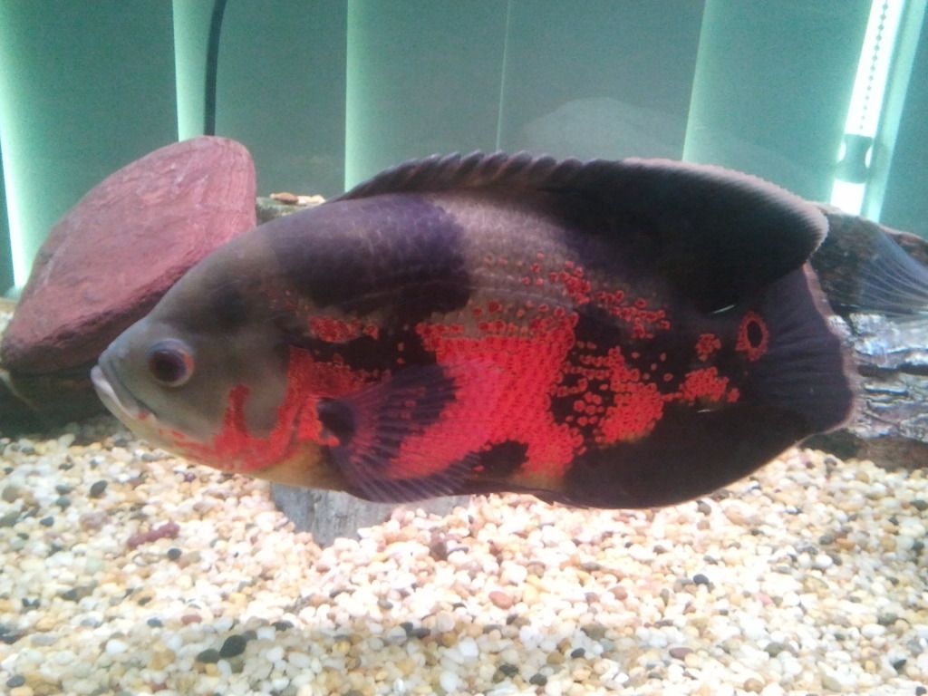2012-07-11102228.jpg