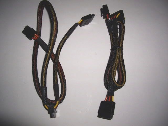 IMGP0319.jpg