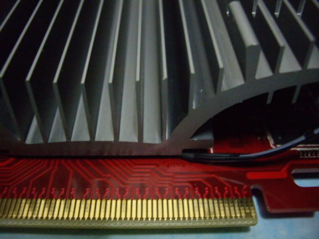 IMGP0725.jpg