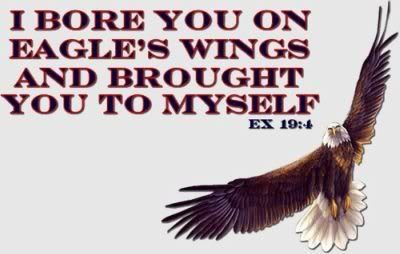 Exodus 19:4 - I Bore You On Eagles Wings Photo by floridacrackergirl