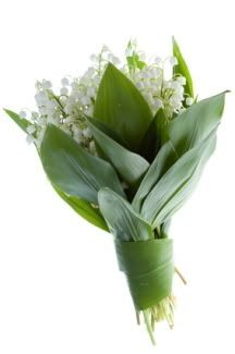 bouquet lilly of the valley photo: Lilly of the Valley Bouquet lillyofvalleybouquet.jpg