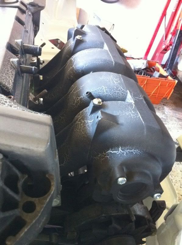 [Image: 8b36e0d8.jpg]