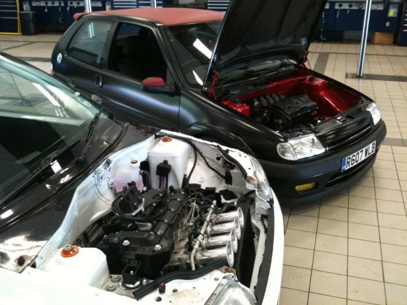 [Image: IMG_0525.jpg]