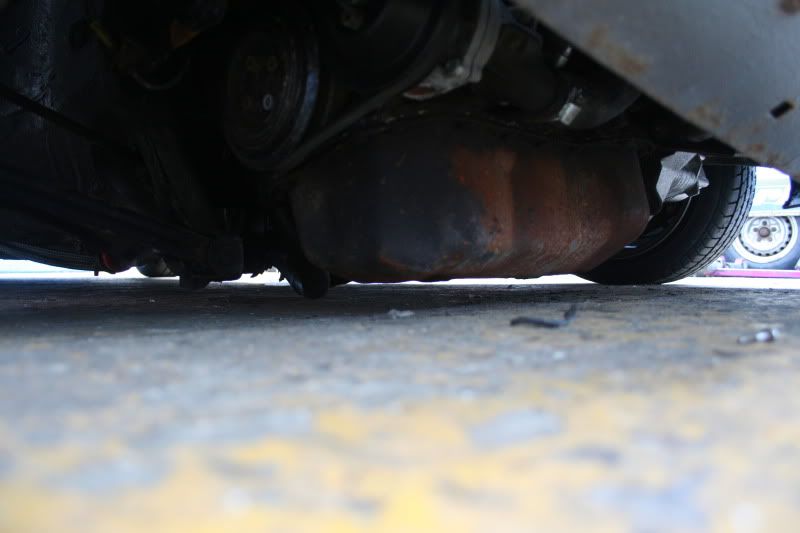 [Image: IMG_0557.jpg]