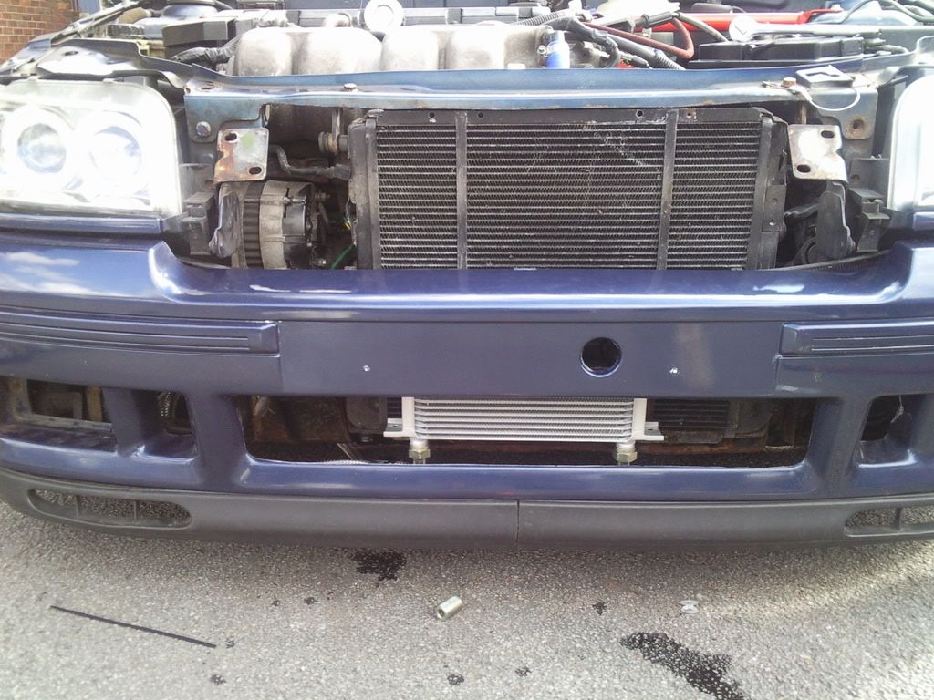 [Image: Photo007.jpg]