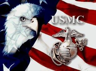 https://i293.photobucket.com/albums/mm41/crazykidd985/usmc.gif