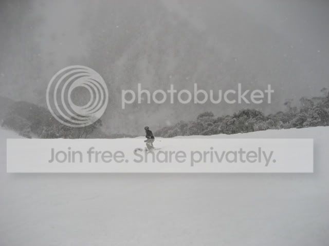 IMG_1101.jpg