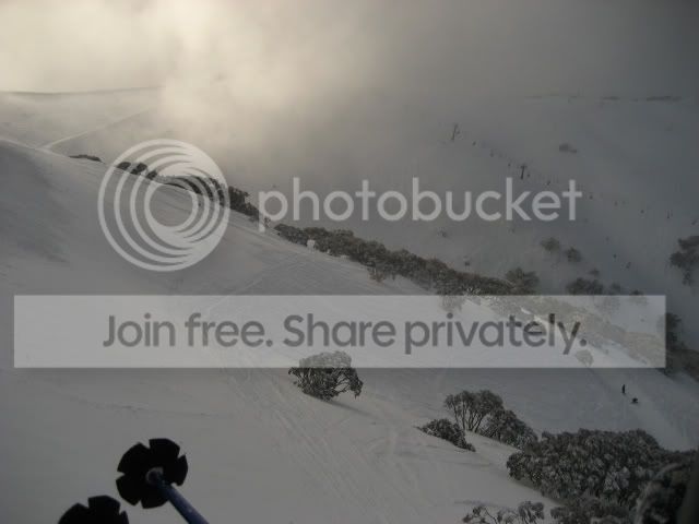IMG_1214.jpg