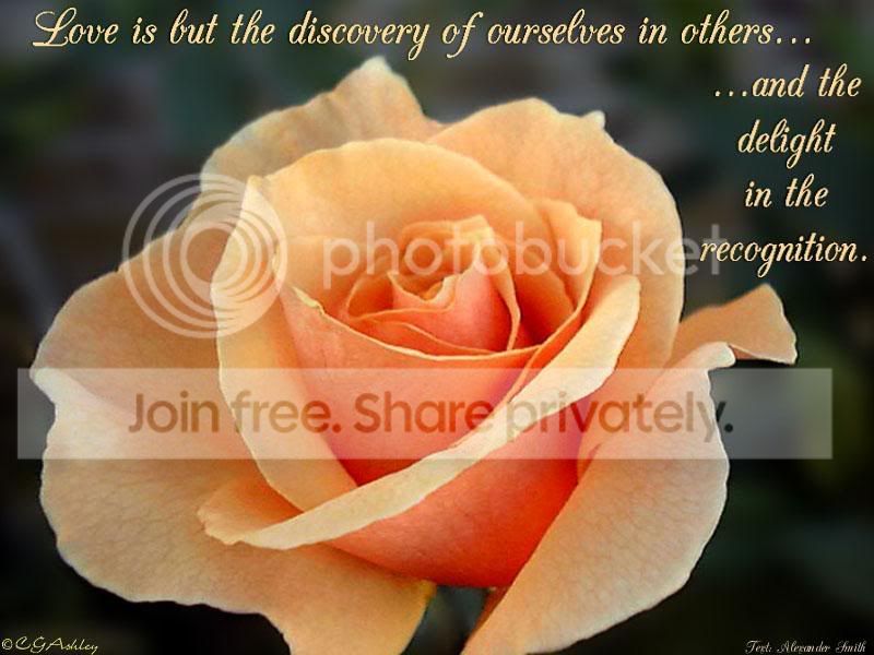 Coimbatoreans-Rose5.jpg