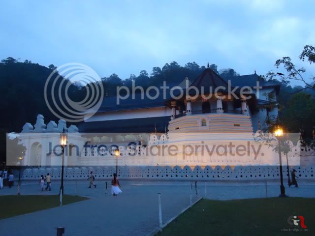 DSC00416.jpg