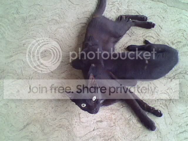 IMG0190A.jpg