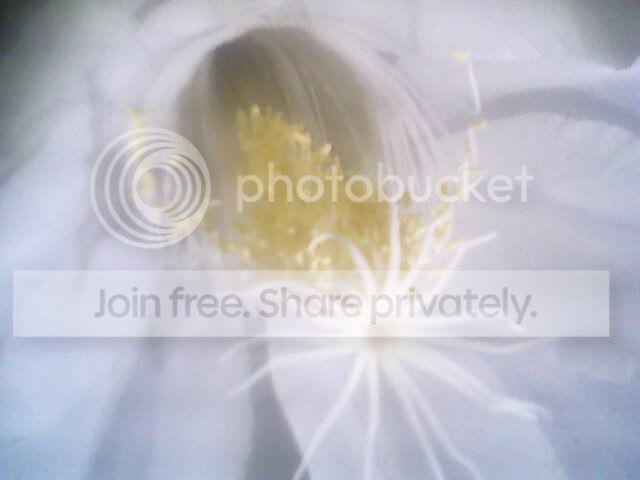 IMG0194A.jpg