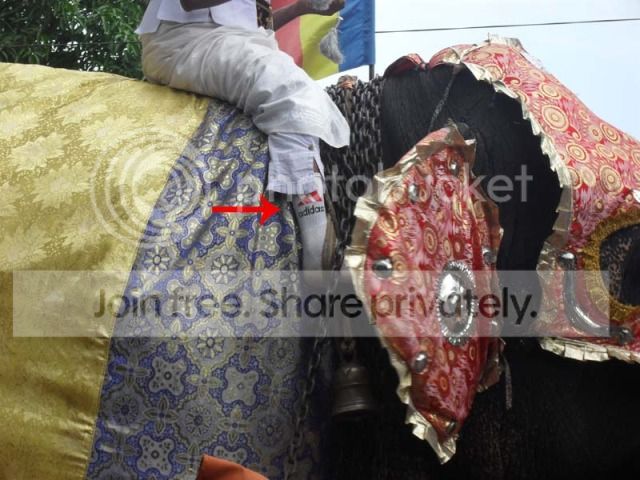 SDC12353copy.jpg
