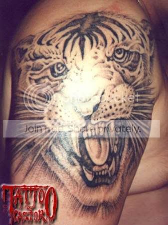 animaltiger10.jpg