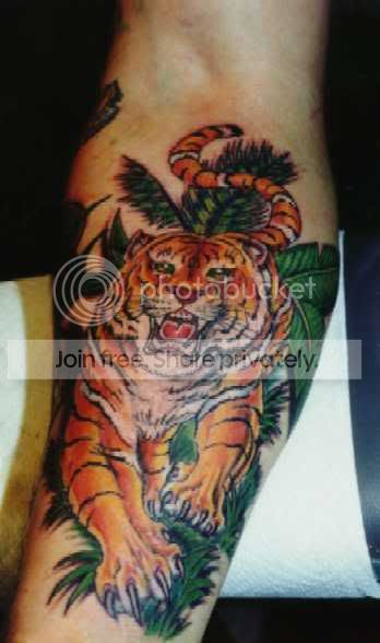 animaltiger12.jpg