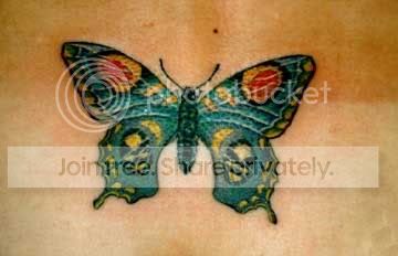 butterfly15.jpg