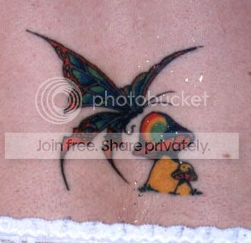 butterfly16.jpg