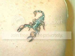insectscorpion.jpg