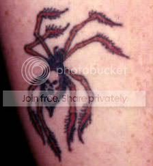 insectspider2.jpg