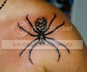 insectspider5.jpg
