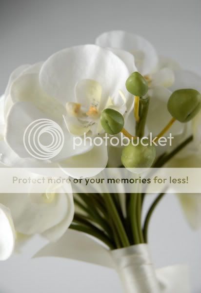 10 Cream White Phalaenopsis Orchid Bouquet W/ Clutch  